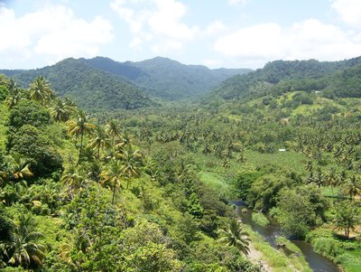 Lower Zion