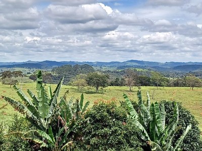 From the road