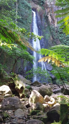 Syndicate Falls