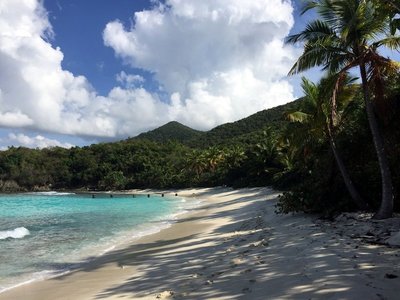 IMG_0536