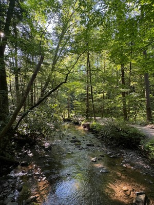 Fighting Creek Nature Trail