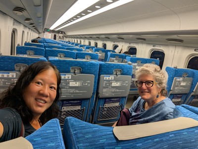 empty train in the reserved section