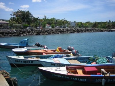 nevis boats