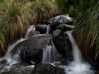 rapids