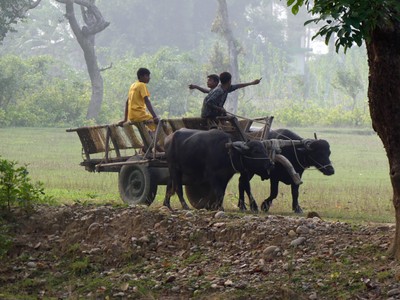 Local youths, Betahani village