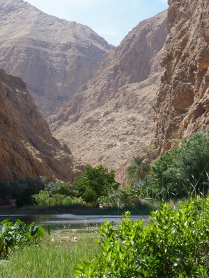 Wadi Shab