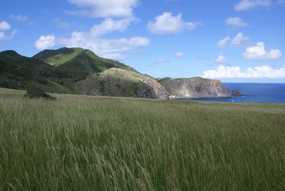 Coastal landscape