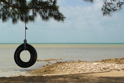 Tire swing beach scene on New Providence Island