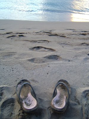 feet