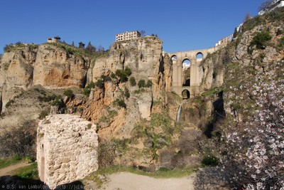 DSF_8125.jpg