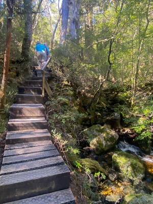 Cradle Mountain hike 10 uphill