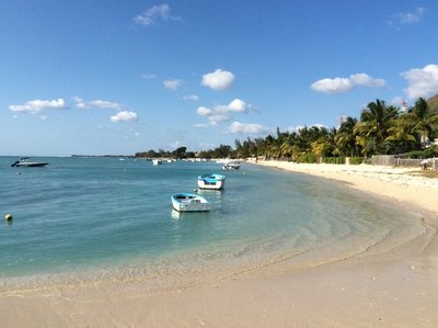 paradise