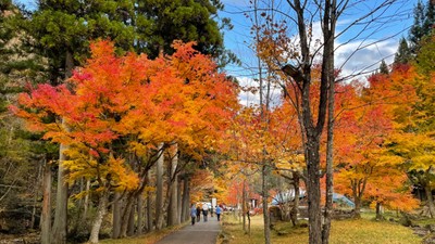 IMG_5553