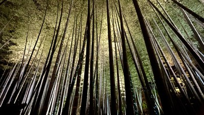 IMG_6373