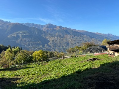 IMG_8003