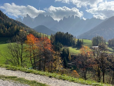 IMG_9364