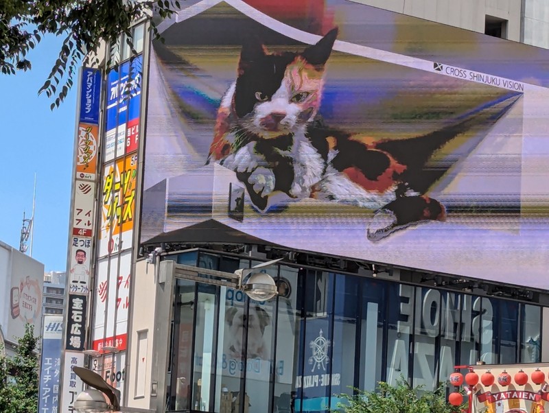 Bye Bye Tokyo