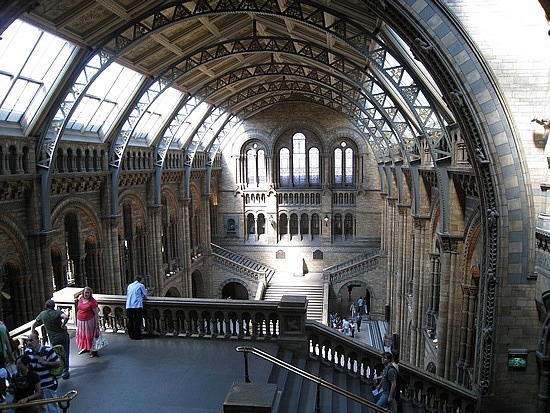Natural History Museum - Photo 1