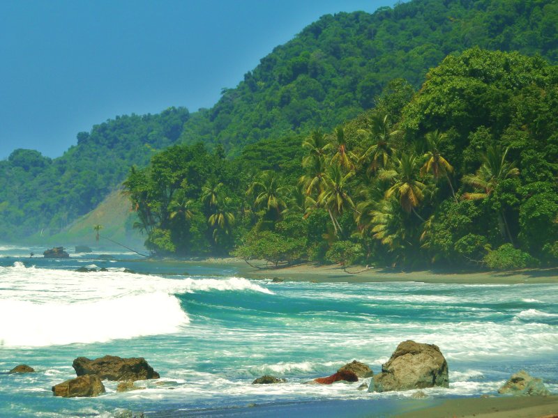 1. Osa Peninsula (1) 055