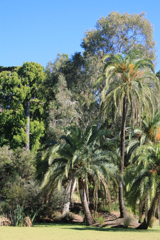Royal Botanic Gardens - Photo 1