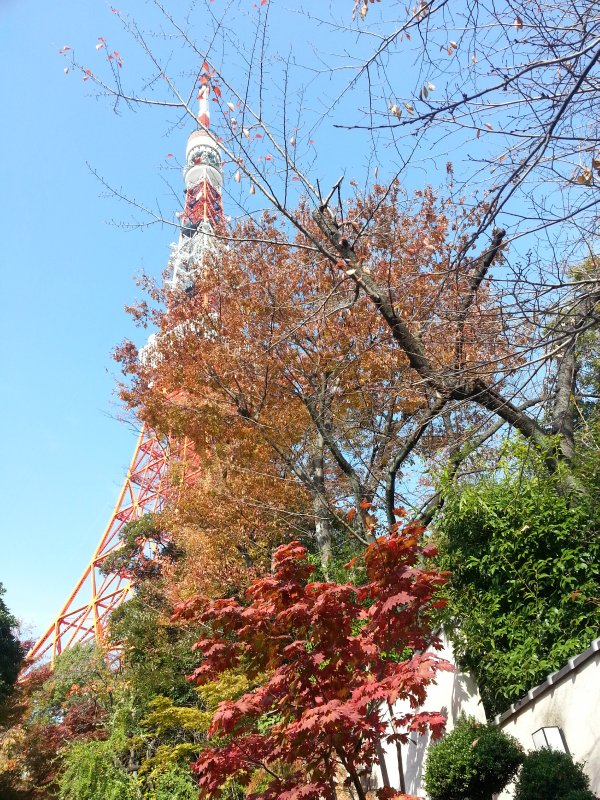 Tokyo Tower - Photo 1