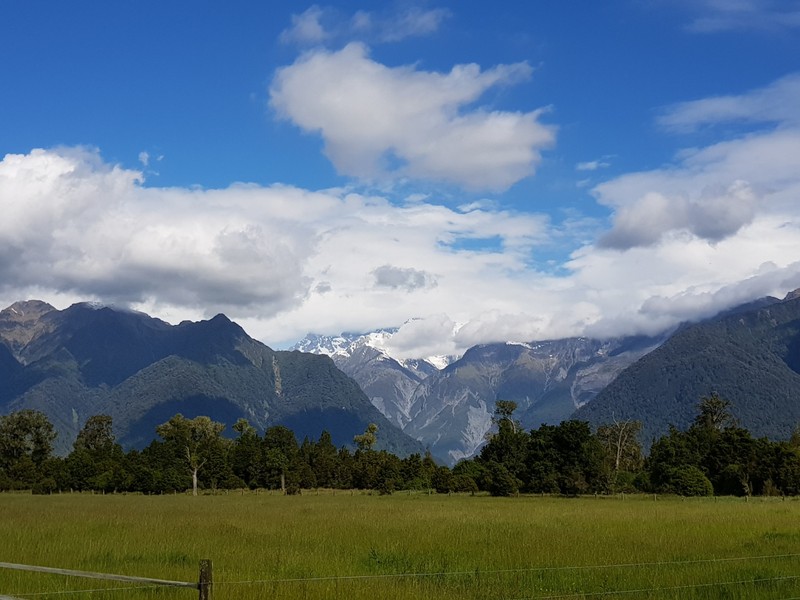 Mt. Cook area from near Lake Matheson