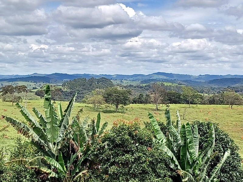 From the road