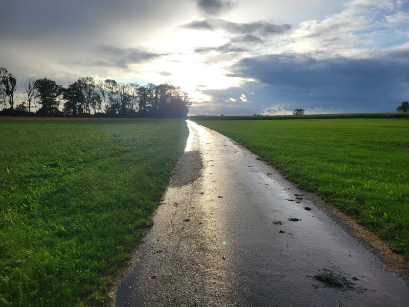 Country path in upper bavaria after a summer rain