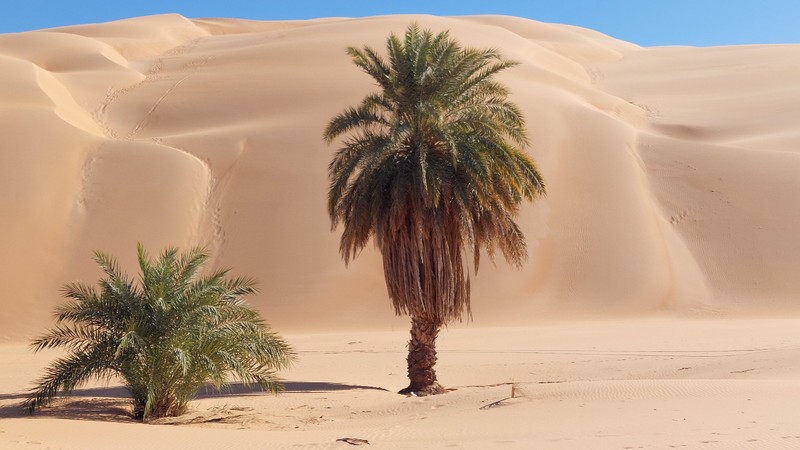 La dune d'Azoueiga