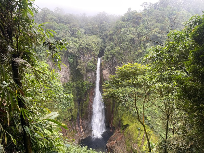 IMG_7521 Costa Rica Catarata del Toro trail