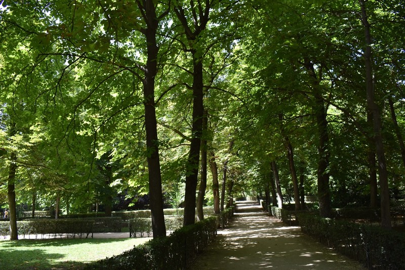 Meandering in Madrid