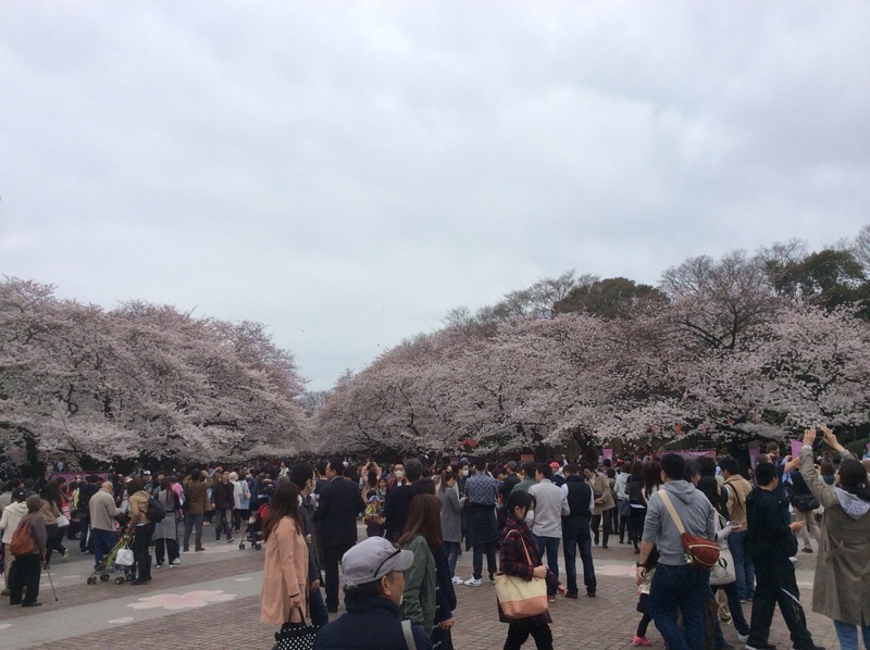 Ueno Park - Photo 1