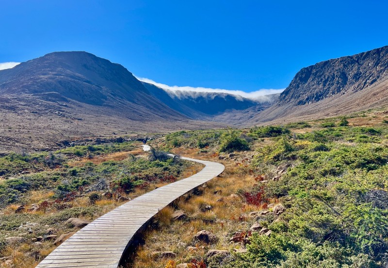 Boardwalk, Tableland