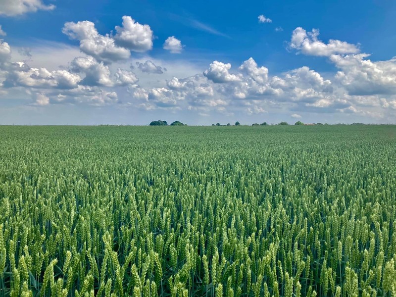 Zuid-Limburg