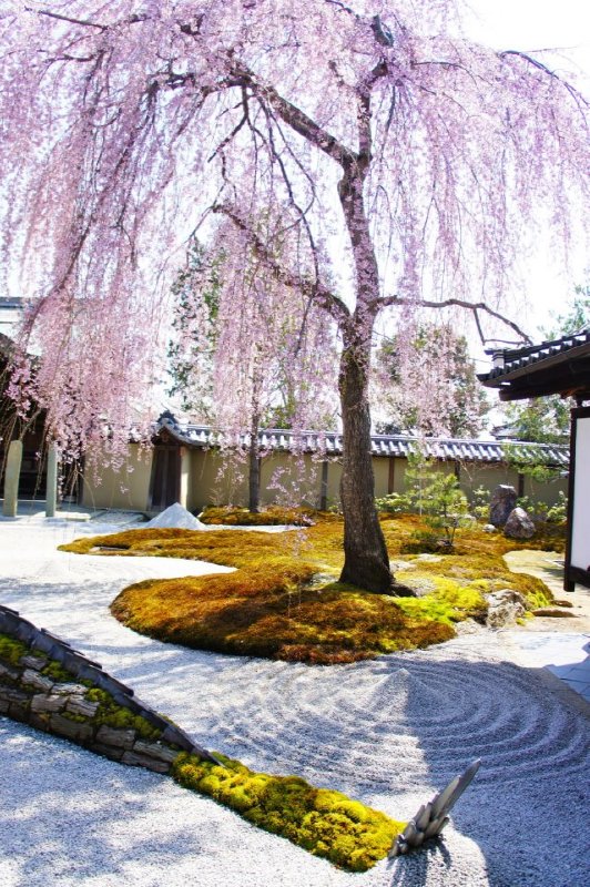 Kodai-ji Temple - Photo 1