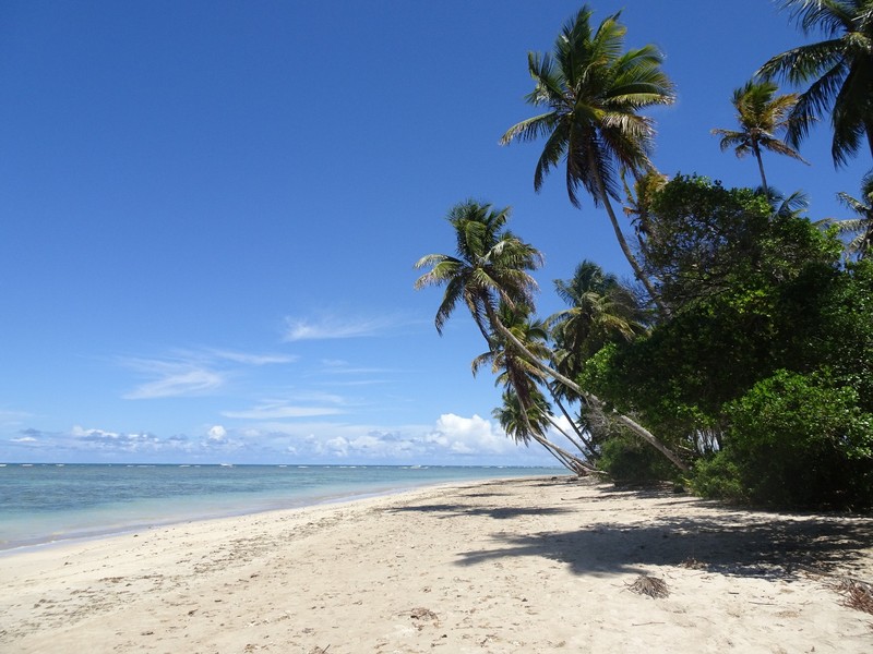 Boipeba island - beautiful, relaxed, paradise!