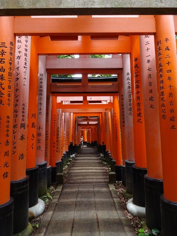 Torii (shrine gates), Fushimi Inari-Taisha