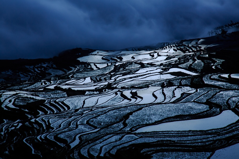 Rice Terrace Yunnan