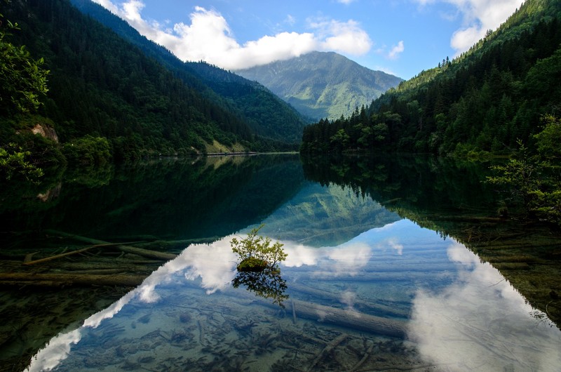 Arrow Bamboo Lake