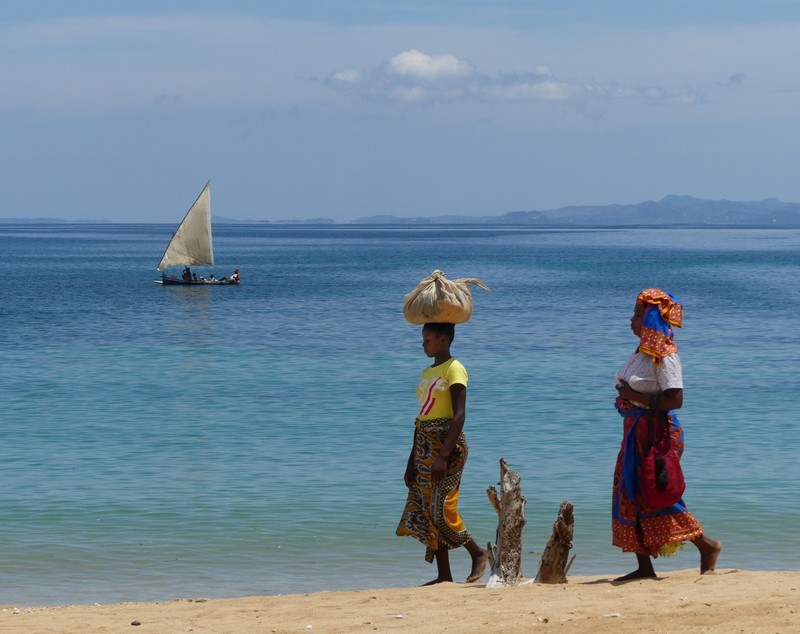 On Baobab Beach, Madagascar