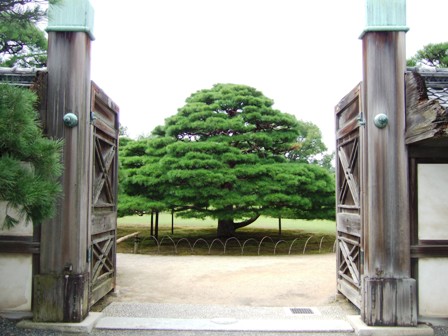 Nijo Castle - Photo 1