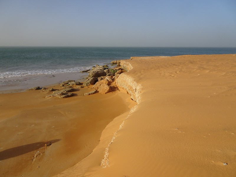 Le Sahara rencontre l'Atlantique