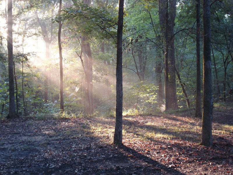 Early morning camp site in Natchez Trace, Mississippi