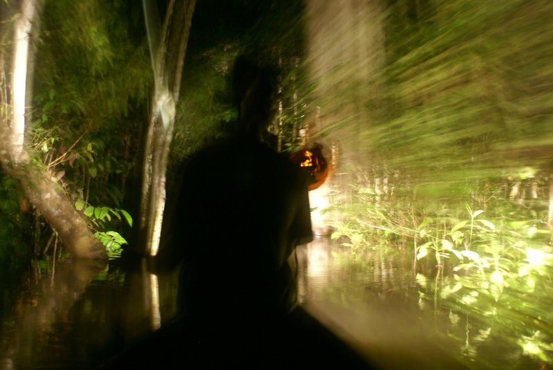 Night spotting in the Amazon