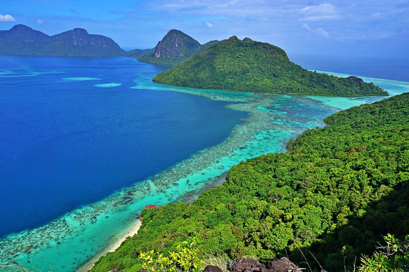 Coral reef around Semporna.