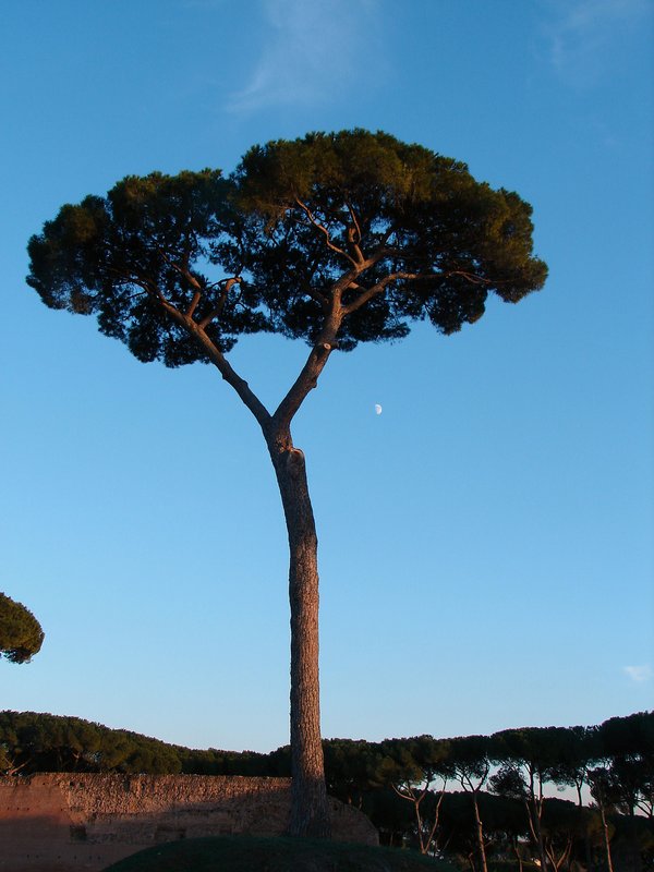 Featured photo 2