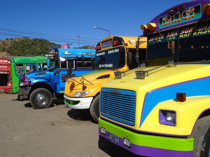 Colourful Buses in Santa Ana