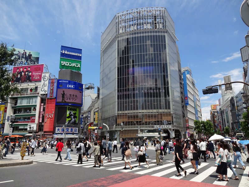 Shibuya Crossing - Photo 1