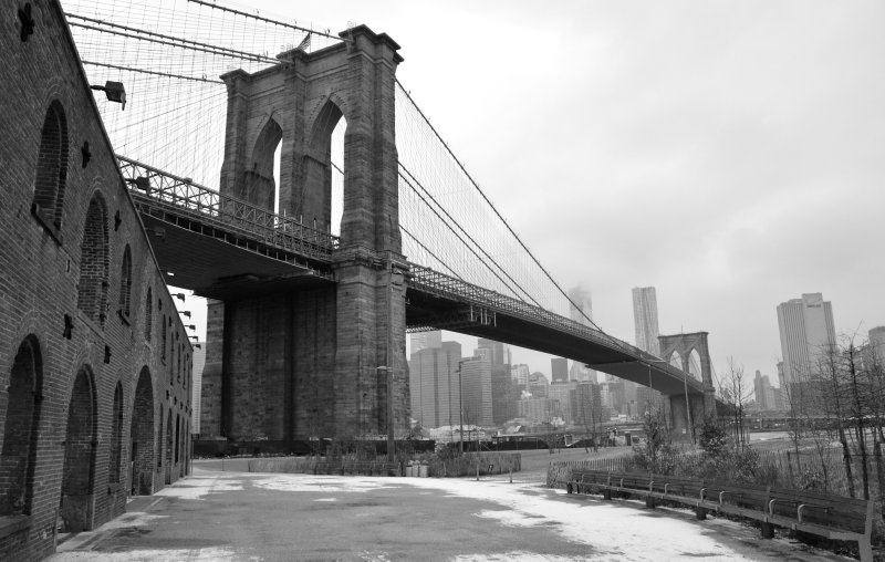 The Brooklyn Bridge From The Park