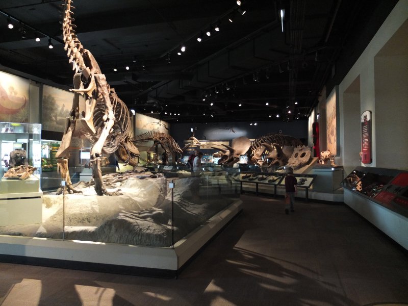 Field Museum - Photo 1